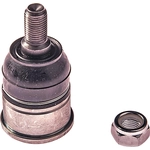 Order Lower Ball Joint by DORMAN (OE SOLUTIONS) - 539-778 For Your Vehicle