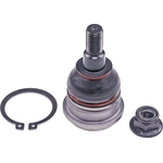 Order Lower Ball Joint by DORMAN (OE SOLUTIONS) - 539-802 For Your Vehicle