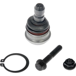 Order Lower Ball Joint by DORMAN (OE SOLUTIONS) - 539-823 For Your Vehicle