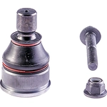 Order Lower Ball Joint by DORMAN (OE SOLUTIONS) - 539-861 For Your Vehicle