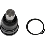 Order Lower Ball Joint by DORMAN (OE SOLUTIONS) - 539-862 For Your Vehicle