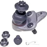 Order Lower Ball Joint by DORMAN (OE SOLUTIONS) - 539-930 For Your Vehicle