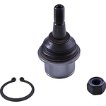 Order Lower Ball Joint by DORMAN (OE SOLUTIONS) - 539-970 For Your Vehicle