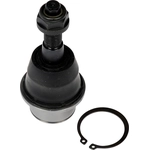 Order Lower Ball Joint by DORMAN (OE SOLUTIONS) - 539-975 For Your Vehicle