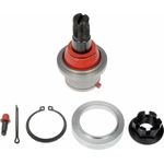 Order Lower Ball Joint by DORMAN (OE SOLUTIONS) - BJ82295RD For Your Vehicle