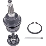 Order Lower Ball Joint by DORMAN (OE SOLUTIONS) - BJ96086RD For Your Vehicle