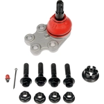 Order DORMAN PREMIUM - B6539RD - Lower Ball Joint For Your Vehicle