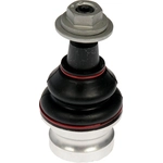 Order Lower Ball Joint by DORMAN PREMIUM - BJ12075PR For Your Vehicle