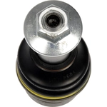 Order Lower Ball Joint by DORMAN PREMIUM - BJ12225PR For Your Vehicle