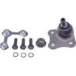 Order DORMAN PREMIUM - BJ43354XL - Lower Ball Joint For Your Vehicle