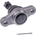 Order DORMAN PREMIUM - BJ60085XL - Lower Ball Joint For Your Vehicle