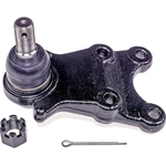 Order Lower Ball Joint by DORMAN PREMIUM - BJ62005PR For Your Vehicle