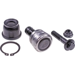 Order DORMAN PREMIUM - BJ67155XL - Lower Ball Joint For Your Vehicle