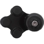 Order Lower Ball Joint by DORMAN PREMIUM - BJ72175PR For Your Vehicle