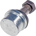 Order Lower Ball Joint by DORMAN PREMIUM - BJ81015PR For Your Vehicle