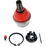 Order Lower Ball Joint by DORMAN PREMIUM - BJ81265RD For Your Vehicle