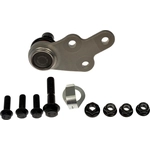 Order Lower Ball Joint by DORMAN PREMIUM - BJ86103XL For Your Vehicle