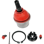 Order Lower Ball Joint by DORMAN PREMIUM - BJ90025RD For Your Vehicle