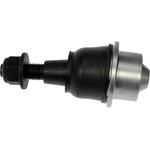 Order DORMAN PREMIUM - BJ92325XL - Lower Ball Joint For Your Vehicle