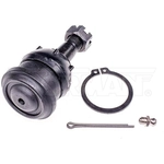 Order Lower Ball Joint by DORMAN PREMIUM - B6157PR For Your Vehicle