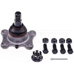 Order Lower Ball Joint by DORMAN PREMIUM - B9519XL For Your Vehicle