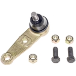 Order Lower Ball Joint by DORMAN PREMIUM - B9635PR For Your Vehicle
