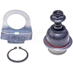 Order Lower Ball Joint by DORMAN PREMIUM - BJ21025XL For Your Vehicle