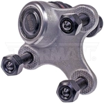 Order Lower Ball Joint by DORMAN PREMIUM - BJ43013XL For Your Vehicle