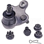 Order Lower Ball Joint by DORMAN PREMIUM - BJ59195XL For Your Vehicle