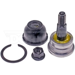 Order Lower Ball Joint by DORMAN PREMIUM - BJ60535XL For Your Vehicle