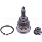 Order Lower Ball Joint by DORMAN PREMIUM - BJ65685XL For Your Vehicle