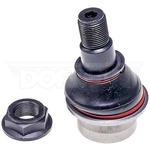 Order Lower Ball Joint by DORMAN PREMIUM - BJ81035XL For Your Vehicle