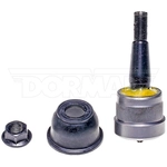 Order Lower Ball Joint by DORMAN PREMIUM - BJ81115XL For Your Vehicle