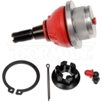 Order Lower Ball Joint by DORMAN PREMIUM - BJ82275RD For Your Vehicle