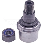 Order Lower Ball Joint by DORMAN PREMIUM - BJ82465XL For Your Vehicle