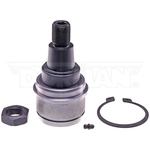 Order Lower Ball Joint by DORMAN PREMIUM - BJ85485XL For Your Vehicle