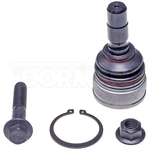 Order Lower Ball Joint by DORMAN PREMIUM - BJ86005XL For Your Vehicle