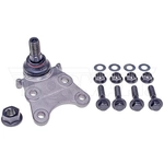 Order Lower Ball Joint by DORMAN PREMIUM - BJ91015XL For Your Vehicle