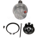 Order Lower Ball Joint by DORMAN PREMIUM - BJ96086RD For Your Vehicle
