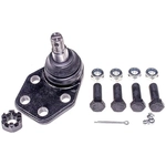 Order Lower Ball Joint by MAS INDUSTRIES - B7365 For Your Vehicle