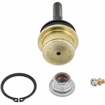 Order Lower Ball Joint by MOOG - K80141 For Your Vehicle