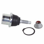 Order Lower Ball Joint by MOTORCRAFT - MCF2256 For Your Vehicle