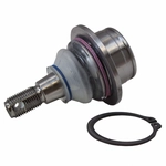 Order Lower Ball Joint by MOTORCRAFT - MCSOE55 For Your Vehicle