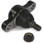 Order Lower Ball Joint by TRANSIT WAREHOUSE - 72-K80621 For Your Vehicle