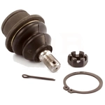 Order Lower Ball Joint by TRANSIT WAREHOUSE - TOR-K80605 For Your Vehicle