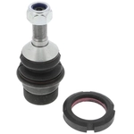 Order VAICO - V30-1384 - Rear Lower Ball Joint For Your Vehicle