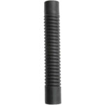 Order Lower Radiator Hose Flex by DAYCO - 81371 For Your Vehicle