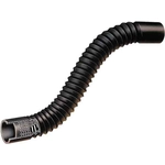 Order Tuyau de radiateur inférieur style flex par GATES - 25252 For Your Vehicle