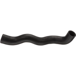 Order Lower Radiator Or Coolant Hose by ACDELCO - 24692L For Your Vehicle