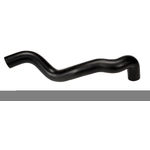 Order CONTINENTAL - 62904 - Lower Radiator Coolant Hose For Your Vehicle